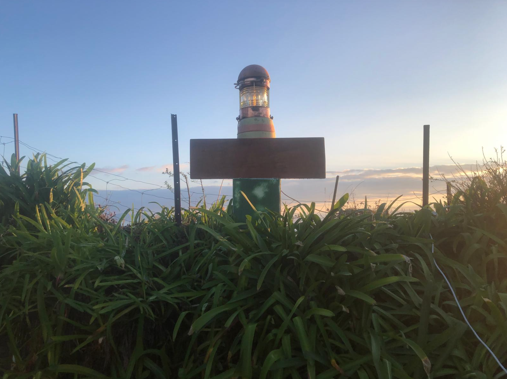 screen-shot-2025-05-25-at-7.58.06-am