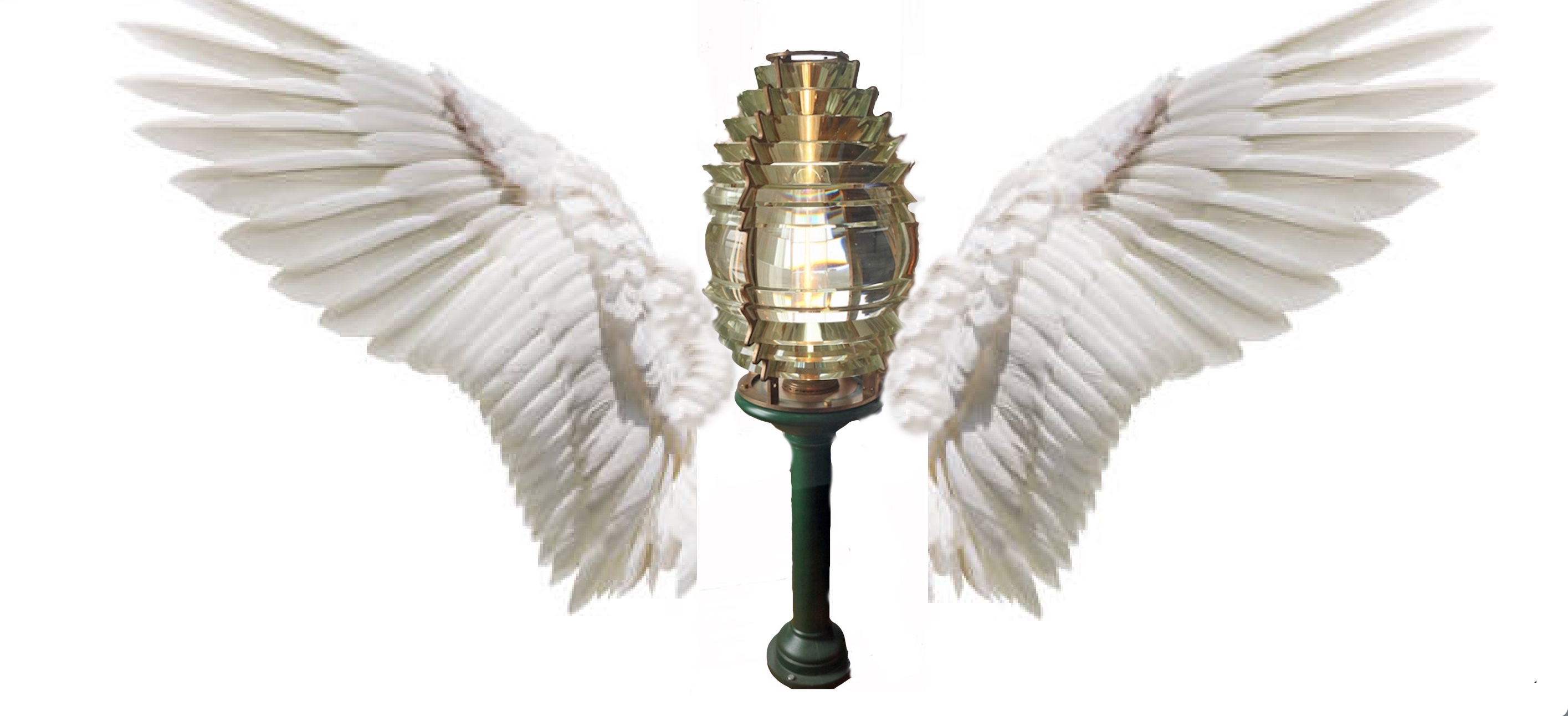 angel-wings